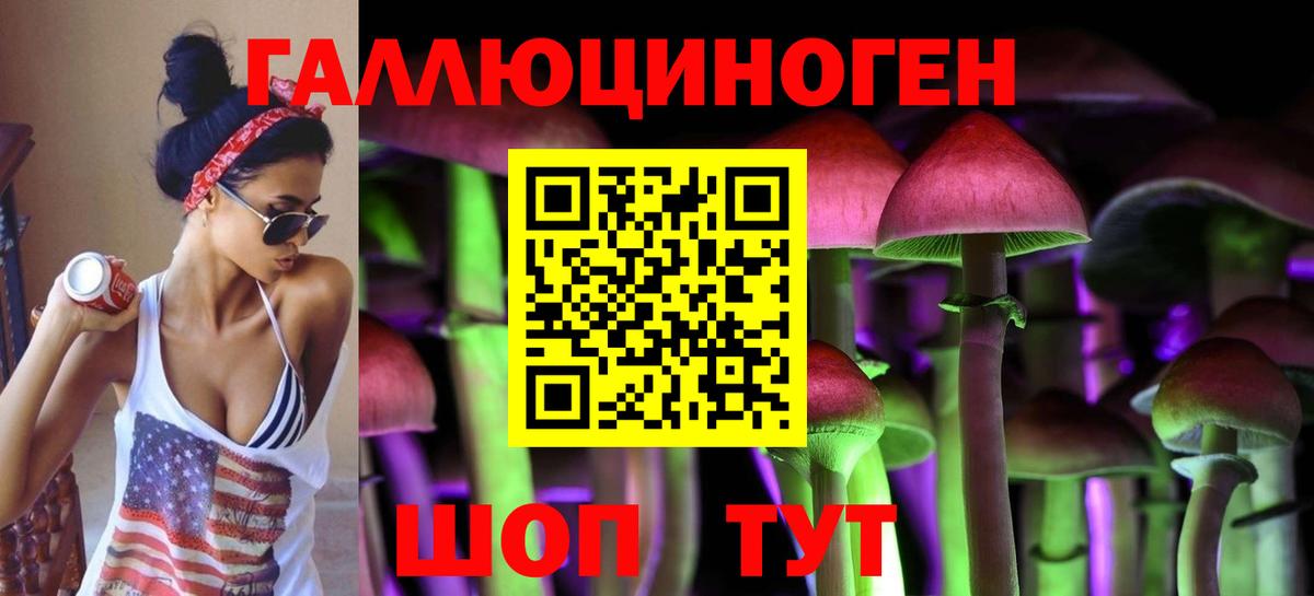 Галлюциногенные грибы GOLDEN TEACHER  Вход с VPN  Гурьевск 